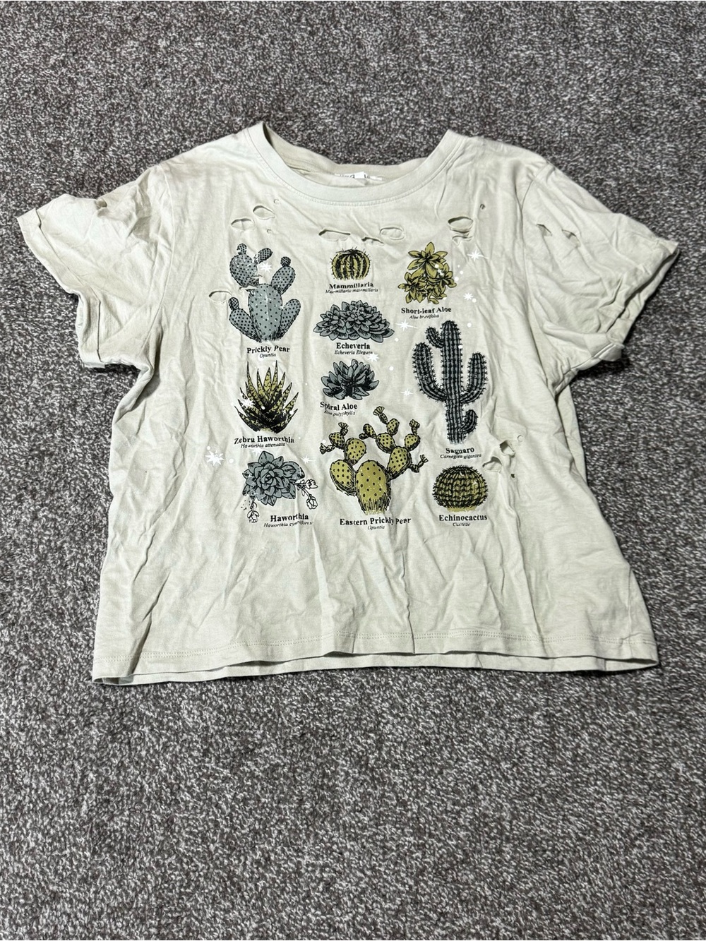 Woman's Light Green Cactus Graphic Tee